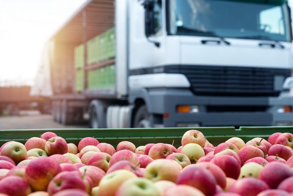 توزیع میوه و مواد غذایی کامیون لود شده با ظروف پر از سیب آماده به بازار عرضه می شود