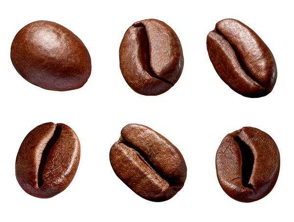 مجموعه ای از لوبیا های مختلف قهوه با زمینه سفید