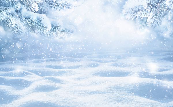 زمستان منظره کریسمس زمستانی با فضای کپی چشم انداز برفی با شاخه های صنوبر پوشیده از بستن برف تردد برف و ریزش برف از طبیعت در فضای بیرون فضای کپی رنگ آبی روشن