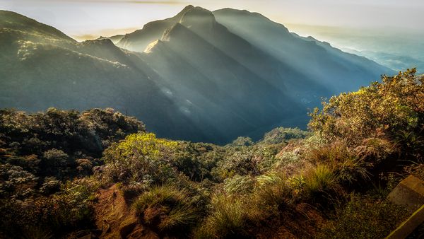 Horton Plains سری لانکا