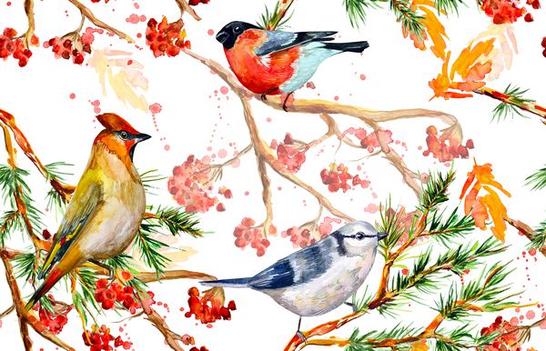 بافت بدون درز با پرندگان در جنگل زمستانی نقاشی آبرنگ