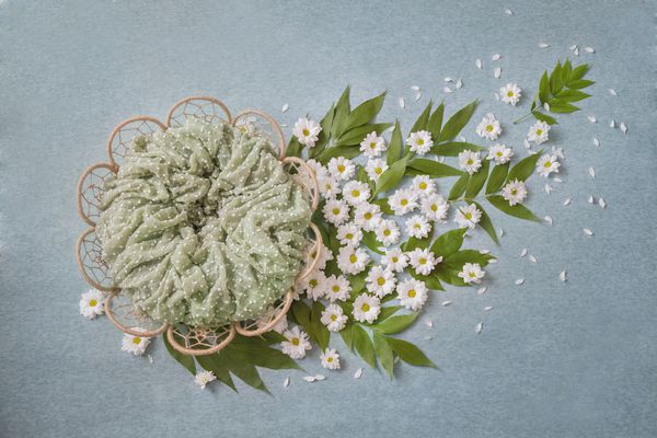 سبد به شکل گل گلهای سفید مروارید با برگهای سبز پس زمینه فیروزه ای برای نوزادان آموزش می بینند