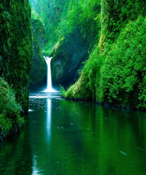 آبشارهای طبیعت جنگل