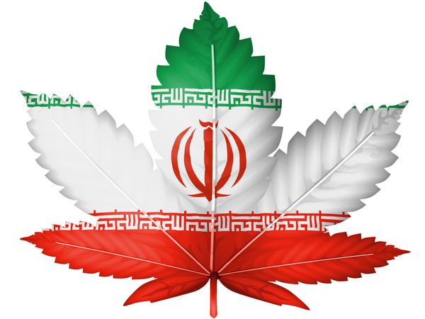 پرچم ایران بر روی گیاه شاهدانه یا برگ ماری جوانا نقاشی شده است