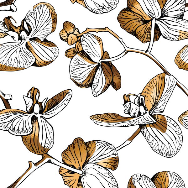 الگوی گل بدون درز گلهای ارکیده ای طلایی در زمینه سفید ترکیب پارچه چاپ سبک دستی تصویر برداری