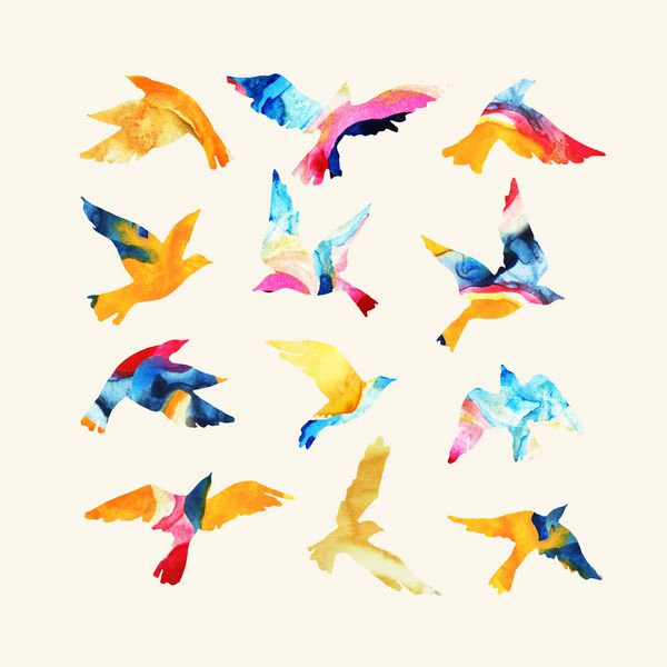 شبح های پرنده ای با آبرنگ های هنری پر از بافت های ناقوس رنگ های روشن مایع جدا شده در پس زمینه سفید ترسیم دستی حیوانات برای طراحی مدرن
