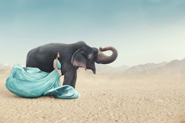 پرتره فانتزی در فضای باز زن جوان با لباس بلند و زیبا در کنار فیل
