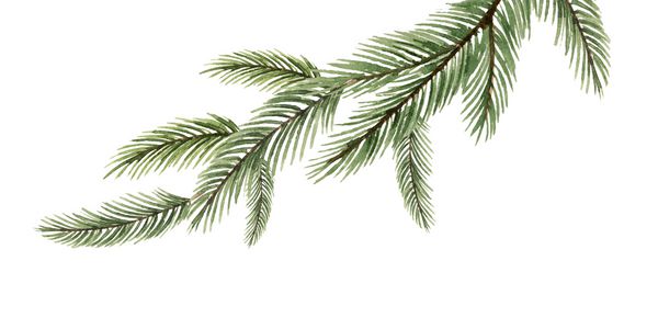 شاخه صنوبر صنوبر آبرنگ درخت کریسمس تصویر برای کارتهای تبریک و دعوت نامه های جدا شده در زمینه سفید