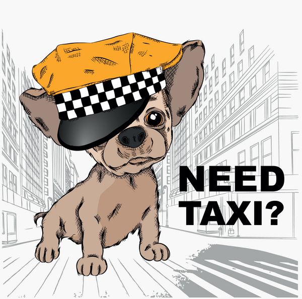 سگ در راننده تاکسی کلاه سگ در پس زمینه شهر تصویر برداری