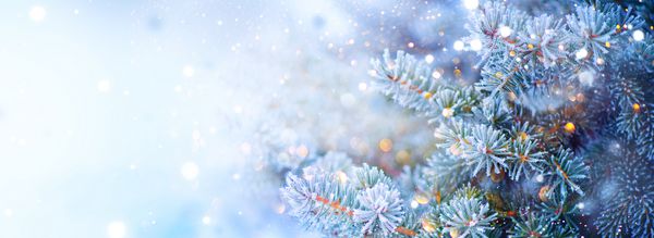 زمستان زمستان تعطیلات زمستان برف دانه های برفی صنوبر آبی کریسمس زیبا و سال نو Xmas طراحی هنر مرزی درخت پس زمینه انتزاعی آبی با برف صفحه گسترده