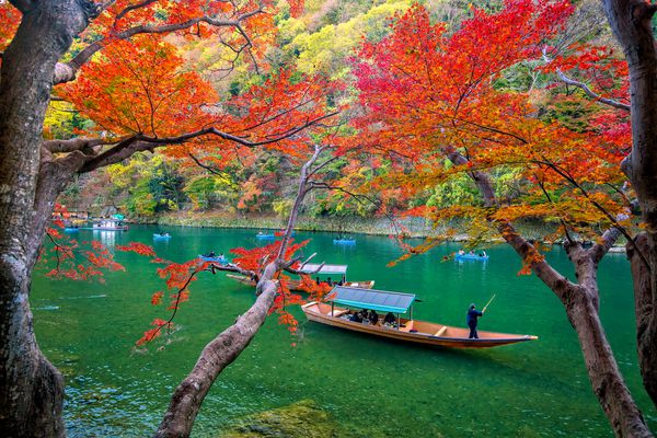 Arashiyama رنگارنگ در فصل پاییز در امتداد رودخانه در کیوتو ژاپن