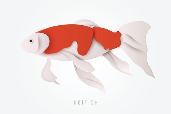 نمای جانبی از ماهی کوی عجیب و غریب در سبک هنر و صنعت برش کاغذ تصویر برداری حیوانات آب شیرین حیوانات اقیانوس جدا شده بر روی زمینه سفید