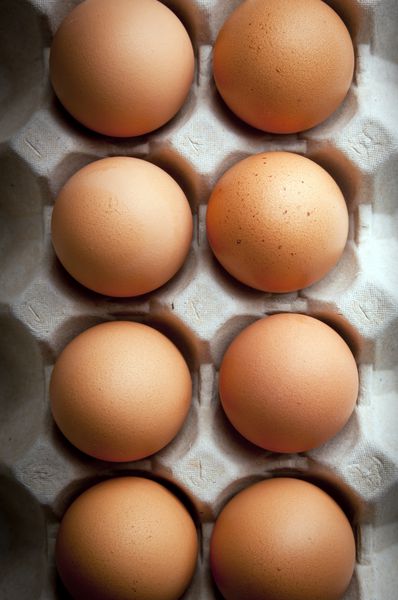 تخم مرغ های تازه در ردیف ها با نورپردازی خلق و خوی