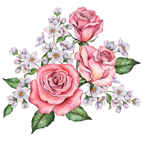 کارت تبریک آبرنگ ترکیب گل تصویر نقاشی شده دستی از گلهای جدا شده در یک زمینه سفید دسته گل با گل سرخ گل یاس و برگ