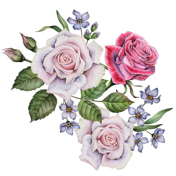 کارت تبریک آبرنگ ترکیب گل تصویر نقاشی شده دستی از گلهای جدا شده در یک زمینه سفید دسته گل و گل و گل و گل فراموش نشود