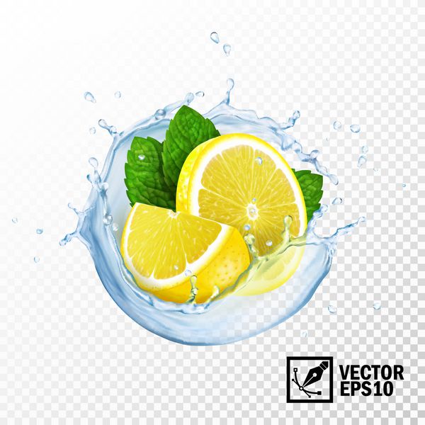 بردارهای جدا شده 3D واقع بینانه برشهای لیمو و نعناع تازه را در یک چاشنی آب یا چای با قطره قطره کنید