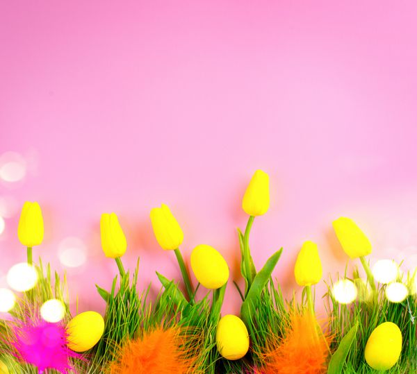 گلهای زیبای پرنعمت و روشن بهار روشن و شکوفه گل لاله ها تخم مرغ های رنگارنگ چمن تازه و پرهای رنگارنگ بر روی زمینه صورتی پس زمینه عید پاک نمای بالا
