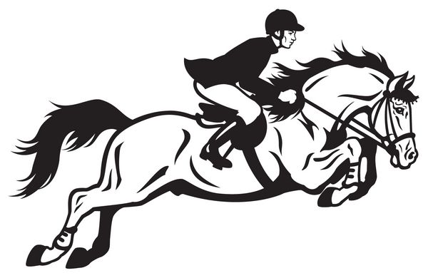 سوار اسب تصویر سیاه و سفید سمت نمایش تصویر