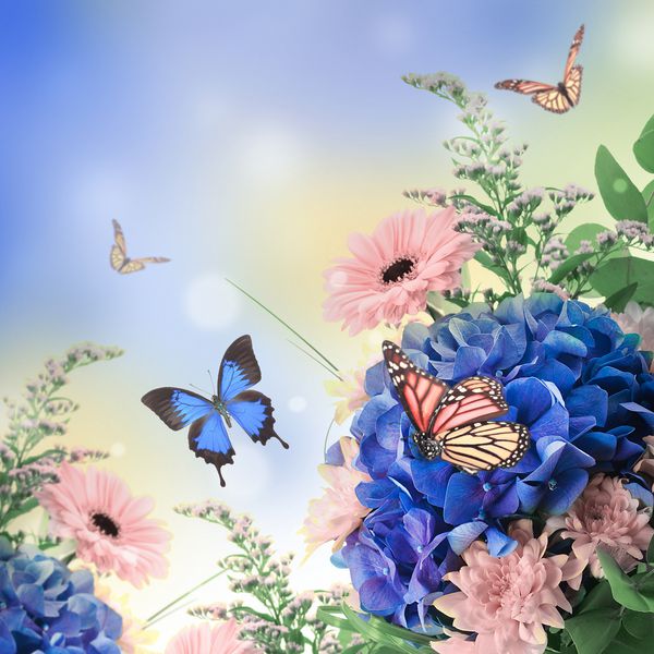 دسته گل از آبی و پروانه ای پس زمینه گل