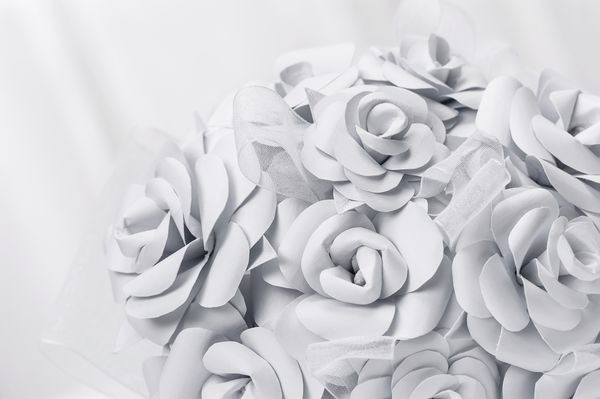 دسته گلهای رز سفید با زمینه سفید