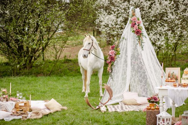 چادر اسب سفید و عروسی تپه زیبا
