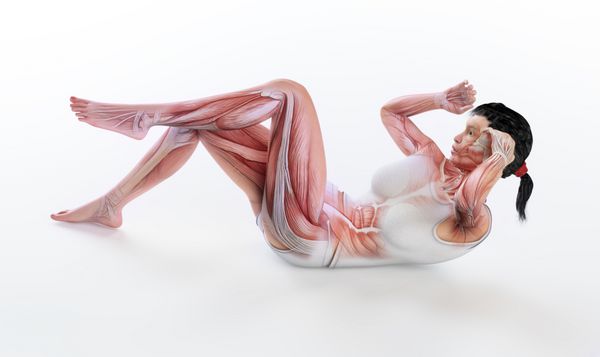 تصویر آناتومی و تناسب اندام زنان تمرین ABS