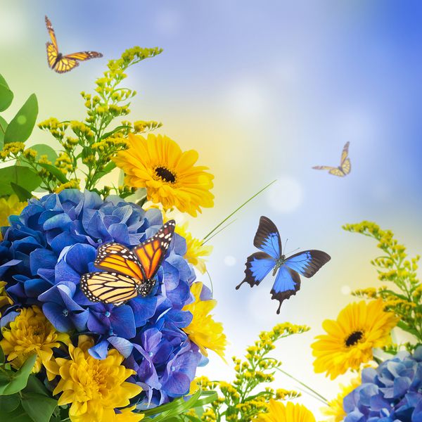 دسته گل از آبی و پروانه ای پس زمینه گل