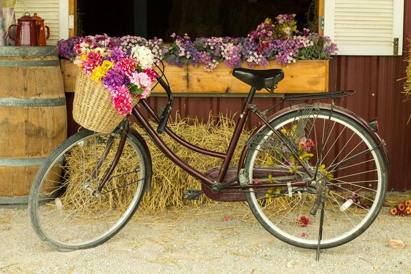 دوچرخه با دسته گل