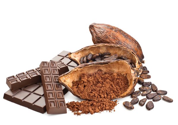 کاکائو و شکلات جدا شده در یک زمینه سفید