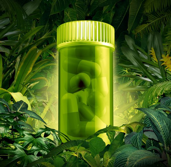 گیاهان دارویی و اکتشافات دارویی جنگل به عنوان سمبل مراقبت از داروهای گیاهی طبیعی موجود در یک جنگل باران به عنوان یک نماد داروخانه به عنوان یک بطری قرص با قرص های سبز بر روی گیاهان در حال رشد