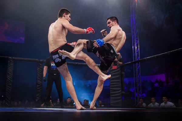 زاگرب کرواتیا 2 نوامبر 2013 نبرد نهایی در لیگ قهرمانان اروپا MMA آنتو RADMAN دستکش قرمز VS Tonci PERUSKO دستکش آبی