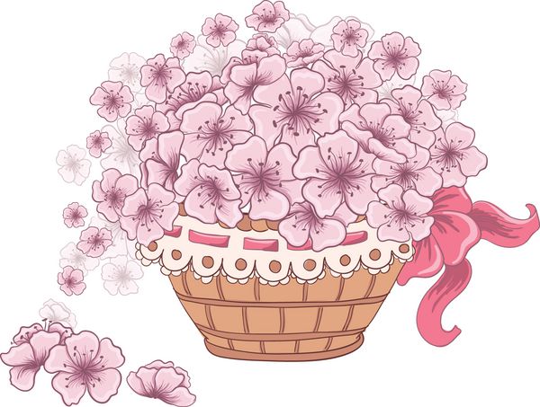 سبد حصیری پر از گل شکوفه گیلاس جدا شده روی سفید تصویر برداری