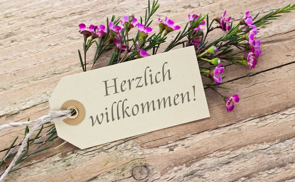 گل صورتی روی تخته چوبی با کارت خوش آمدید آلمانی