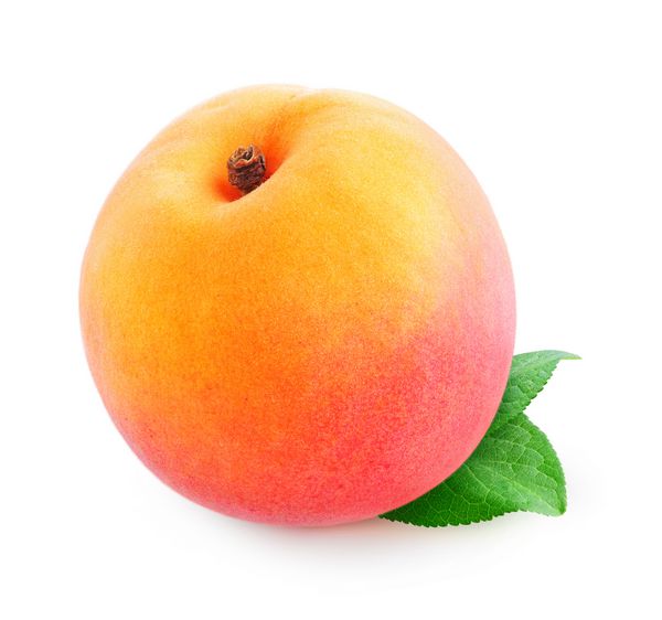 هلو منزوی یک میوه هلو یا زردآلو تازه با برگ جدا شده در زمینه سفید