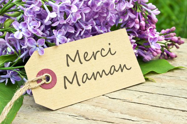 کارت فرانسوی Day Day with lilac با تشکر از مادر فرانسوی