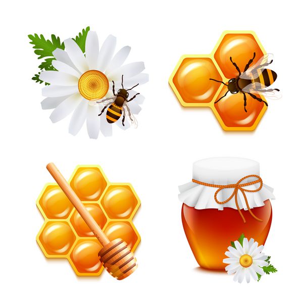 آیکون های تزئینی مواد غذایی عسل با تصویر جدا شده لانه زنبور کبود زنبور عسل تنظیم شده است