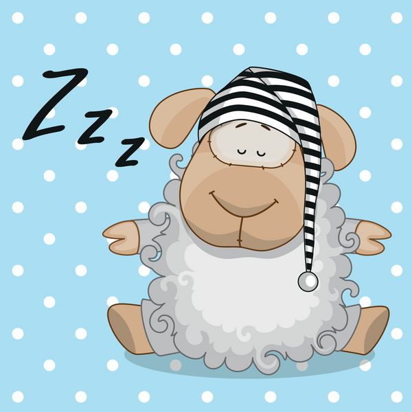 گوسفندان خوابیده در کلاه