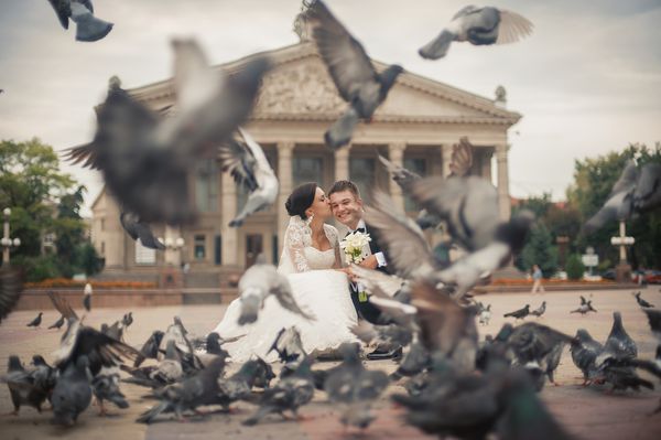 عروس و داماد مبارک در حال بوسیدن بین کبوتران