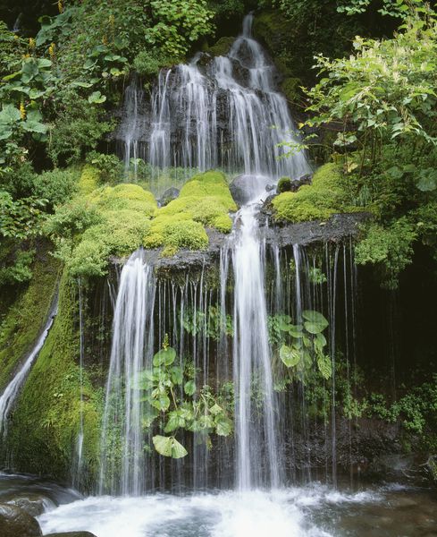 تصویری از آبشار Do Ryu
