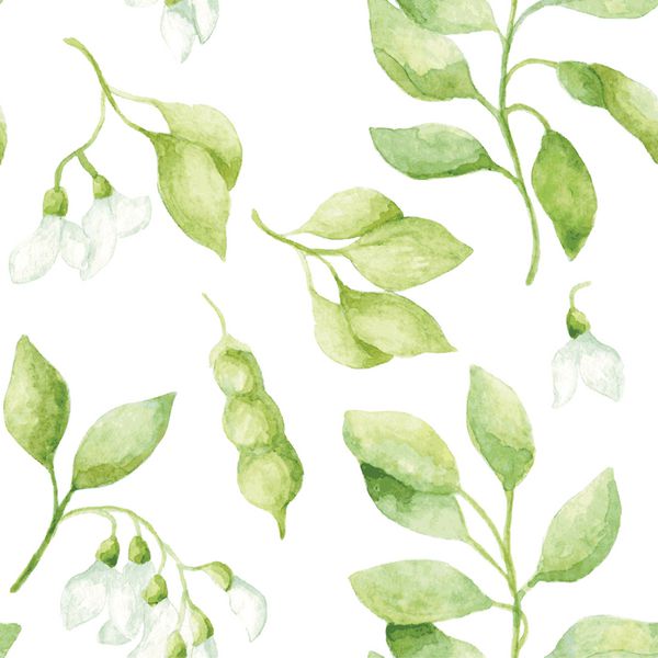 الگوی گل یکنواخت گل به سبک پرنعمت با برگهای سبز شاخه ها غلاف ها و گلهای سفید سفید نقاشی آبرنگ بردار