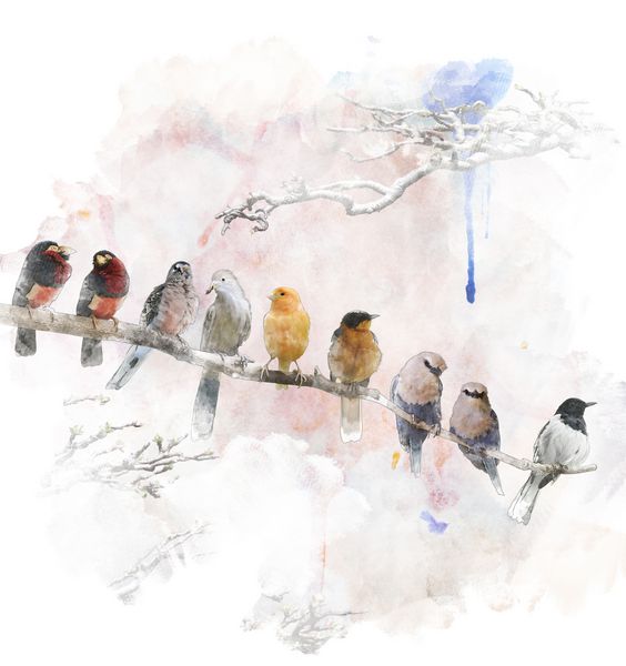 نقاشی دیجیتال آبرنگ نقاشی پرندگان