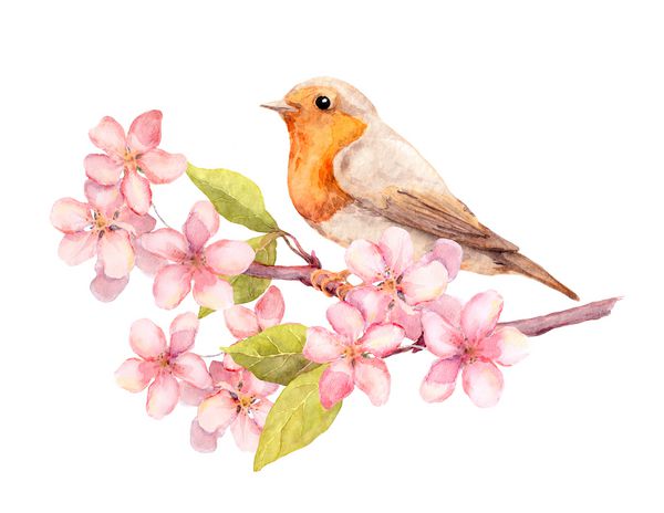 پرنده روی شاخه شکوفه با گل آبرنگ