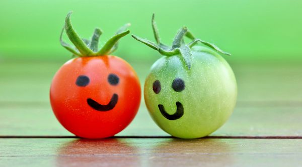 نزدیک دو گوجه فرنگی با صورتهای خود رنگ کنید