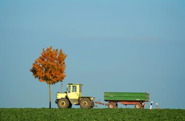 رانندگی تراکتور در پاییز در مزرعه