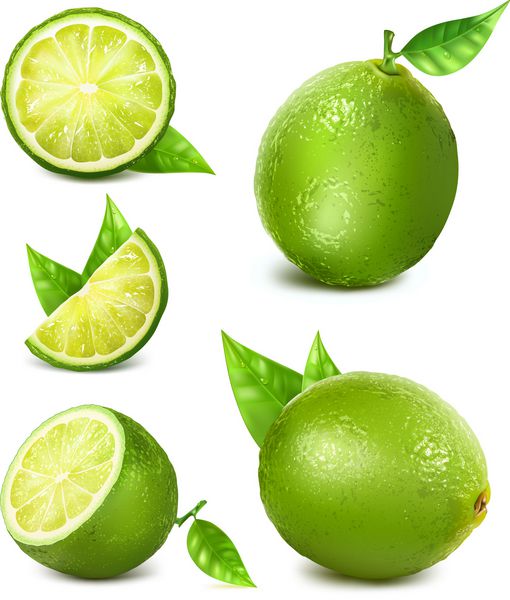 لیموهای تازه با برگ مجموعه نماهای مختلف آهک