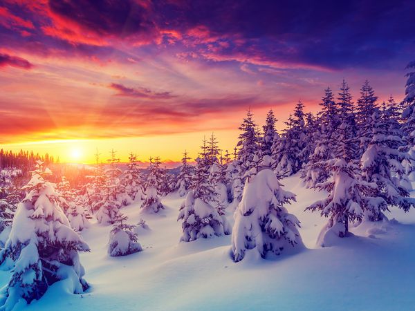 چشم انداز عصرانه فوق العاده که درخشان از نور خورشید است صحنه زمستانی دراماتیک پارک طبیعی کارپات اوکراین اروپا دنیای زیبایی فیلتر یکپارچهسازی با سیستمعامل جلوه عکس اینستاگرام بنفش زنده سال نو مبارک