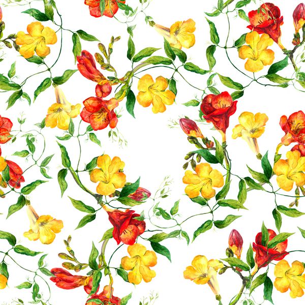 گلهای زرد و قرمز freesia و bindweed تکرار الگوی گل آبرنگ