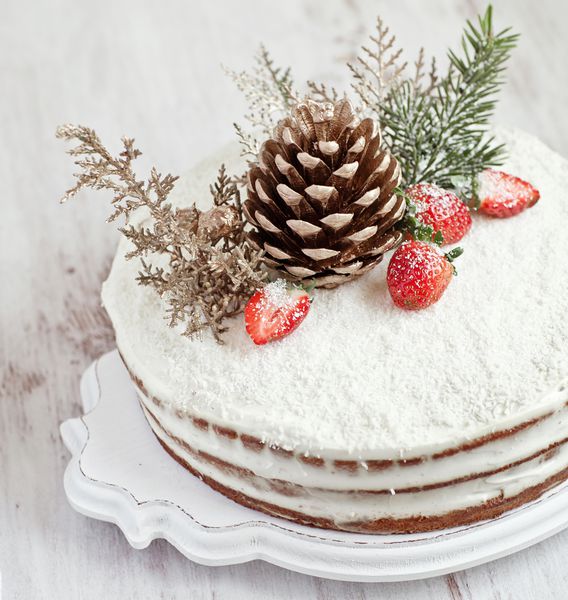 سری کیک نارگیل زمستانی با توت فرنگی نارگیل و مخروط جنگلی تزئین کنید