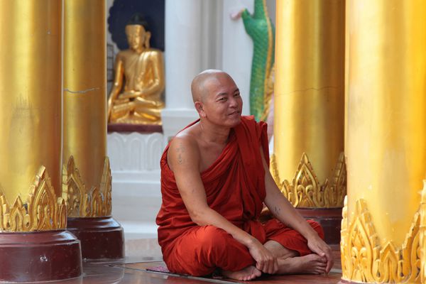 یانگون میانمر 8 دسامبر 2014 یک راهب در شوگاگون پاگودا دعا می کند پاگودا شیاداگون زیبا مشهورترین نشانه یانگون است
