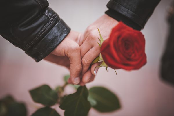 دو دست زن و شوهر که گل رز قرمز دارند